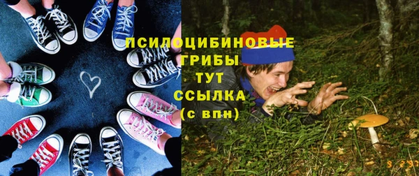 молекула духа Лагань