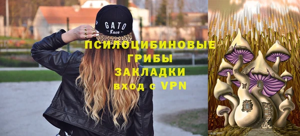 apvp Лабытнанги
