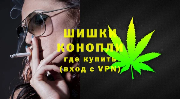 молекула духа Лагань