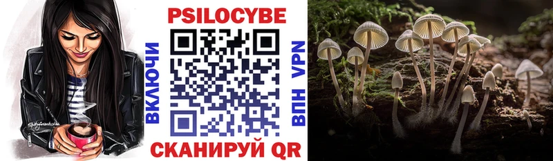 Галлюциногенные грибы Cubensis  kraken ССЫЛКА  Новая Усмань 